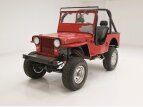 Thumbnail Photo 0 for 1947 Willys CJ-2A